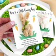 thumbnail image 5 of Cuddly Bunny Pocket Hug, Mini Bunny Hug Gifts for Easter, Handmade Emotional Bunnies Plush, Positive Bunnies Rabbit Hugs with Cards, Easter Basket Stuffers for Friends and Family, 5 of 10