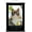 Premium Print and Black Hanger Bundle, variant on Trends International Grumpy Cat - Brighter Side Poster