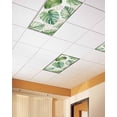 thumbnail image 2 of Fluorescent Light Covers for Ceiling Lights 1 Piece, Green Monstera Leaves Magnetic Classroom Light Covers 4x2 Feet, Tropical Summer Botanical Fluorescent Ceiling Filters for Office Classroom, 2 of 7