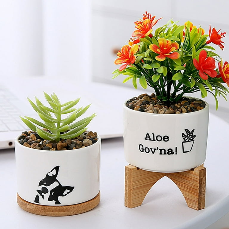 Succulent Pots 3 Inch,Succulent Planters,Small Pots for Plants with  Drainage and Tray,White Ceramic Flower Planters for Indoor  Plants,Home,Office,Desk