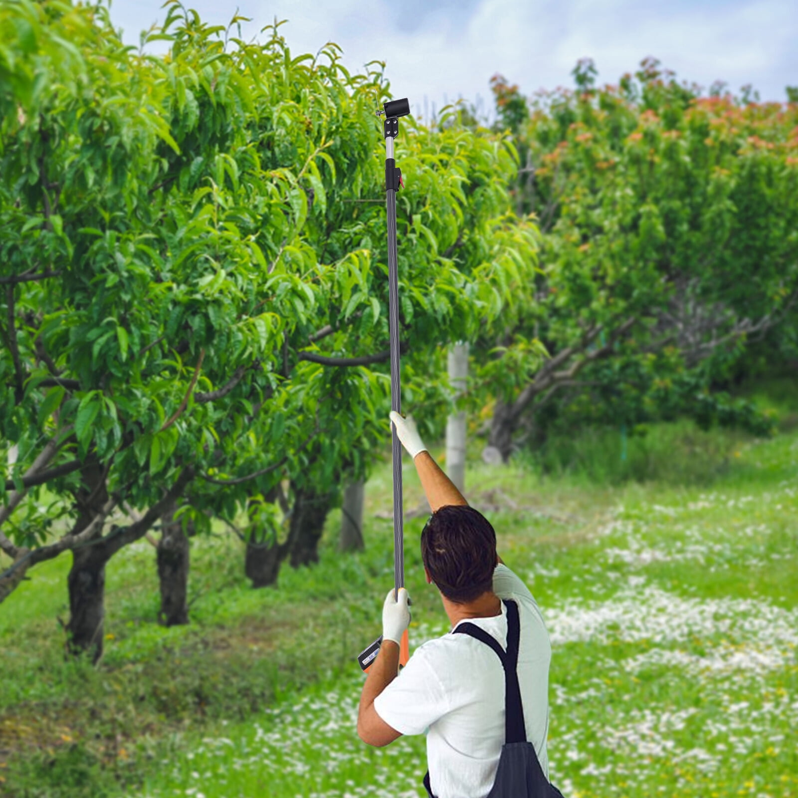 12000rpm Electric Pole Hedge Trimmer Cordless Hedge Trimmer For Tree Weed Garden Used In Farm Orchards, Villa Yards, Municipal Gardens