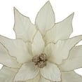 thumbnail image 4 of Northlight 33" Cream and Champagne Gold Poinsettia Large Christmas Pick, 4 of 6
