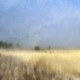 thumbnail image 3 of Kimberly, Allen 20x20 Black Modern Framed Museum Art Print Titled - Countryside 1, 3 of 5