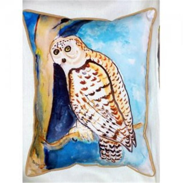 Betsy Drake ZP285 Betsys Hibou Coussin Intérieur et Extérieur & 44; 20 x 24 Po.