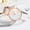 Gold, variant on Women Watches Rose Gold Belt Style, QQZ Elegant Analog Wristwatch for Ladies, Fashion Stainless Steel Casual Watch for Daily Wear Shopping Party, Gold