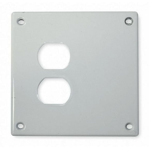 Hubbell Wiring Device-Kellems SWP813