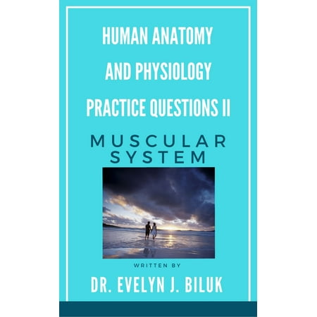 Human Anatomy and Physiology Practice Questions II: Muscular System -