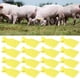 thumbnail image 1 of Identificación De Ganado Etiqueta De Oreja En 20 Set Para Cabras Ovejas Ganado Cerdos Suministros Agrícolas Amarillo, 1 of 7