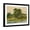 Black Frame, variant on Art.com Changing Sunlight I Art Print by Ethan Harper, 24" x 18"