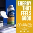 thumbnail image 5 of Jumex Hydrolit+Advance Mango Energy & Hydration Drink, 15.5 fl oz, 5 of 6