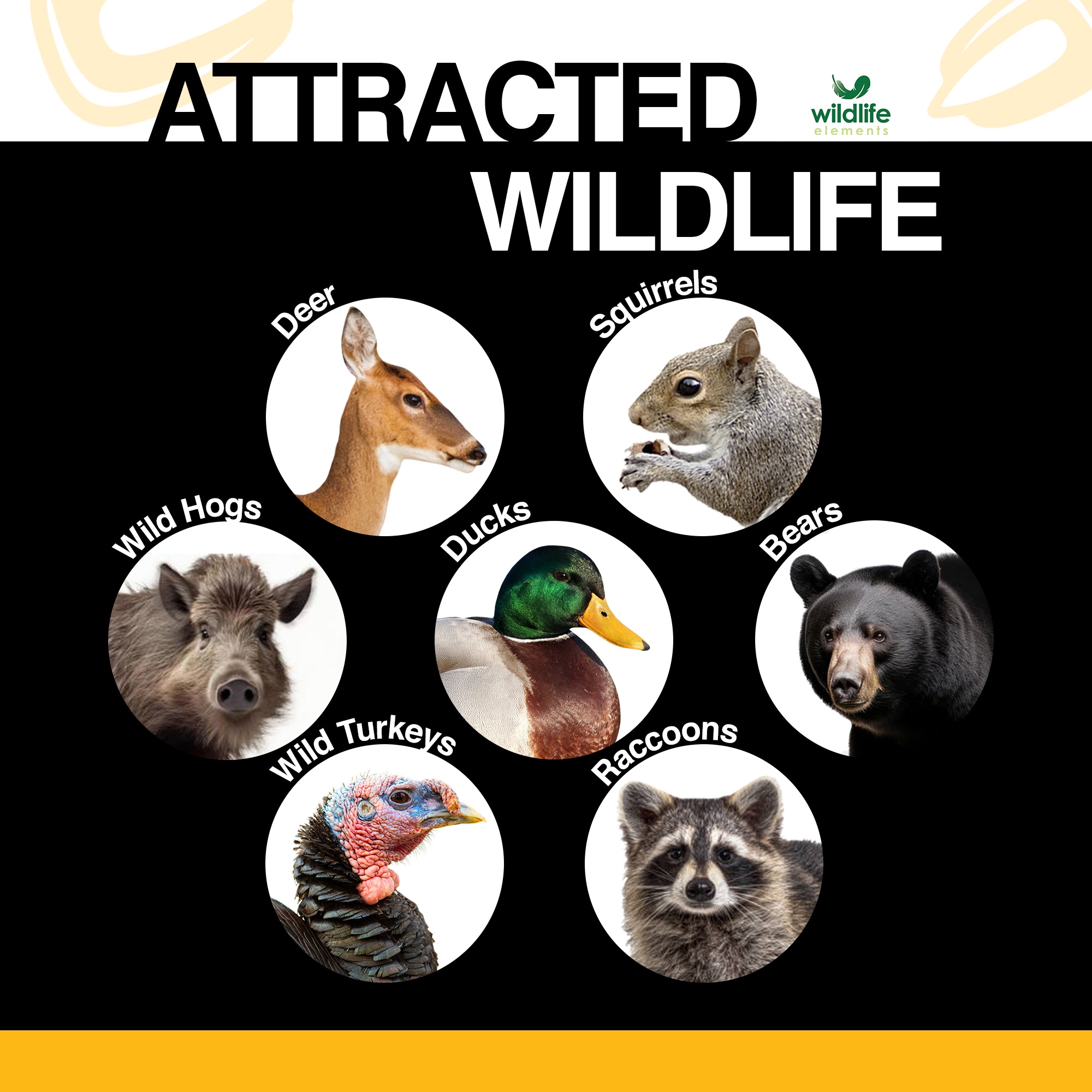 Wildlife Elements Critter Corn, Natural Whole Shelled Corn for Wildlife, USA Sourced, 44lb