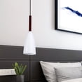 thumbnail image 5 of Modern Iron LED Droplight Chandelier for Home or Restaurant Ceiling Decor, E27 Bulb, White, 5 of 8