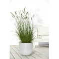 thumbnail image 3 of Ecopots Oslo Durable Modern Round Indoor/Outdoor Recycled Based Composite Flower Pot Planter, Pure White, 14", 3 of 4