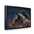 thumbnail image 3 of Close Up Of Thoroughbred Nonius Stallion Horse III 40 in x 30 in Framed Photography Canvas Art Print, by Designart, 3 of 5