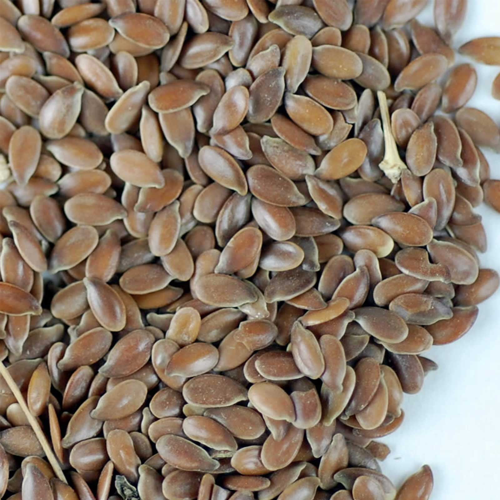 Organic Brown Flax Seeds - 5 Lb Resealable Can - Canadian Flaxseeds - Flax Seed for Sprouting, Grinding, Omega Oils, Baking