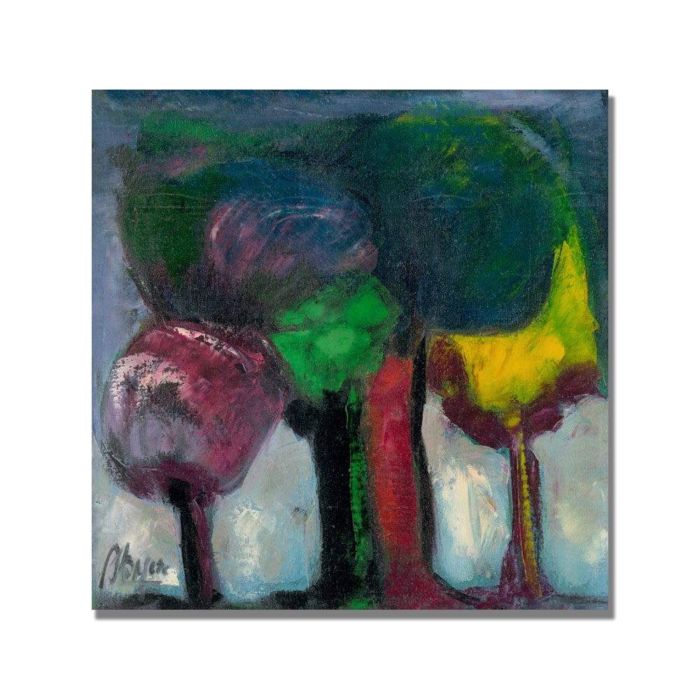 Trademark Fine Art "Bosque de Niebla" Canvas Art by Boyer