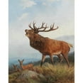 thumbnail image 2 of Carl Friedrich Deiker 20x24 Gold Ornate Framed and Double Matted Museum Art Print Titled - A Bellowing Stag, 2 of 4