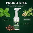 thumbnail image 2 of Donaldson Farms Bird Repellent Spray – Outdoor Formula to Keep Birds Away – Pigeon, Woodpecker, Sparrow, Duck & Goose Deterrent – Efficient Bird Spray for Roofs, Yards, Patios, Balconies, Homes, 2 of 8
