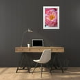 thumbnail image 3 of Millet, Karyn 17x24 White Modern Wood Framed Museum Art Print Titled - Pink Peony, 3 of 4