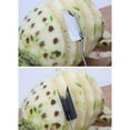thumbnail image 4 of CATIEBYE 7Ud Pineapple Eye Remover Acero Inoxidable Multiusos Con Mango De Madera Cómodo, 4 of 7