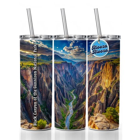 Black Canyon of the Gunnison National Park Colorado 20oz Insulated Water Bottle Skinny Tumbler Includes Straw