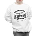 thumbnail image 3 of Harry Potter Boys Gryffindor Keeper Sweatshirt, 3 of 5
