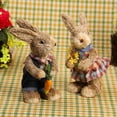 thumbnail image 5 of GadgetVLot Straw Bunny Peter Rabbit Decor Creative Children Easter Bunny Model Straw Rabbit With Lean Forward In Clothes Home Decorative, 5 of 13