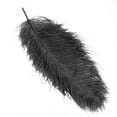 thumbnail image 6 of Efavormart 12 RARE 24"-26" Ostrich Plume Feathers For Wedding Birthday Party Dance Banquet Event Decoration - Black, 6 of 10