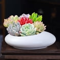 thumbnail image 2 of JingChun Slanted Lotuses Bowl Water Lilys Bowl Succulent Decorative Glass Bowl Suitable for Flowers Succulents Hydroponic Plants Fish Home Decoration L, 2 of 2