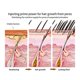 thumbnail image 5 of 30ML Acelerador del crecimiento del cabello YONGSHENG con aceite de suero de jengibre, 5 of 5