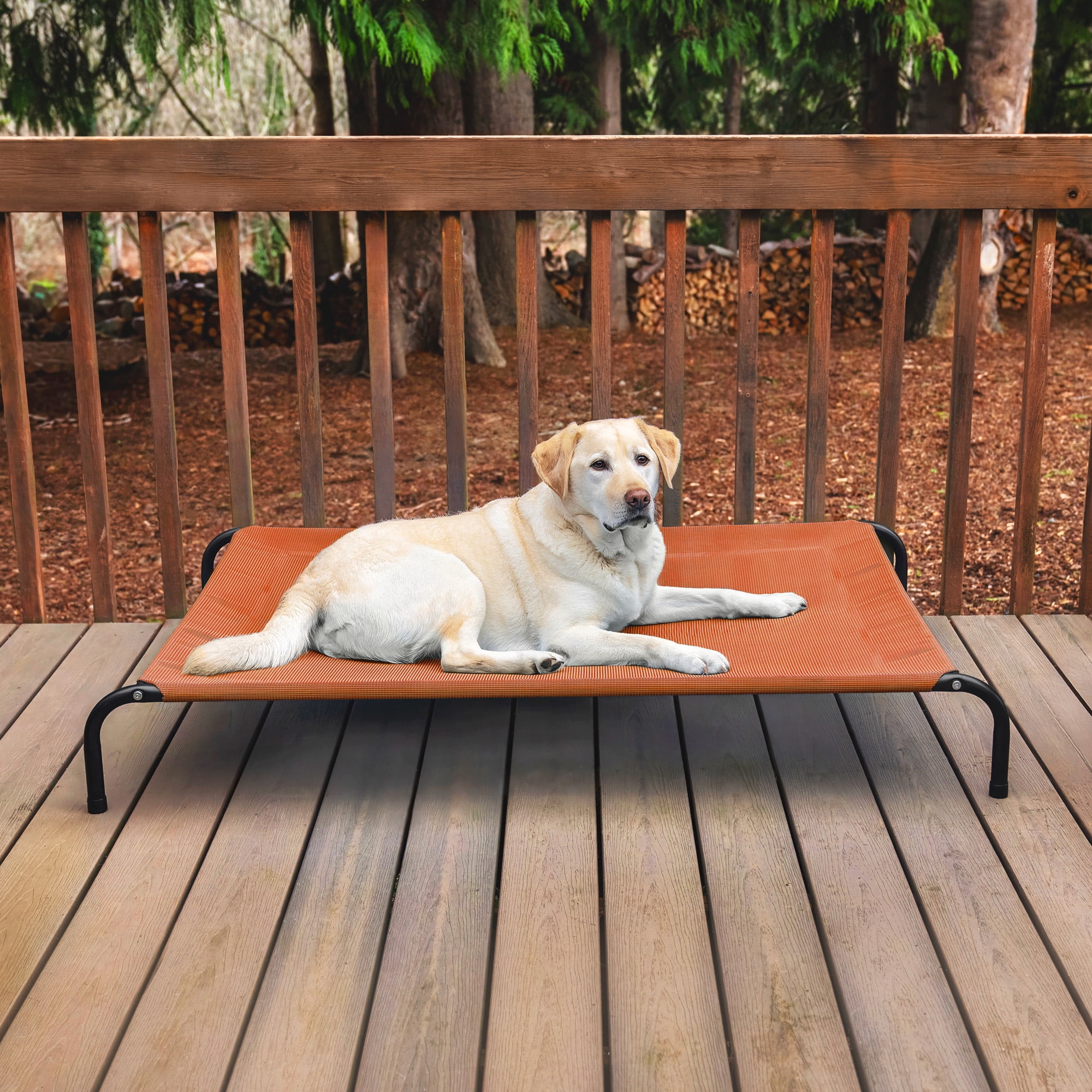 FurHaven Pet Products Elevated Cot Pet Bed - Terracotta Red, Extra Large
