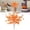B, variant on 1Pc Clearance Under $3 Artificial Maple Leaf Faux Maple Leaf For Vase, Cloth Green Artificial Maple Leaf (F)