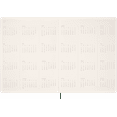 thumbnail image 5 of Moleskine 2025 13-Month Essential Planner, Soft Cover, Weekly Vertical, XXL (8.5" x 11"), Myrtle Green, 5 of 11