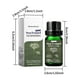 thumbnail image 2 of Esencia Esencias de Hinojo Marino 10ml Agua de esencia, 2 of 9