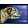thumbnail image 1 of Carolines Treasures 7352MAT Irish Wolfhound Looking Tapis pour l'Intérieur et l'Extérieur - 18 x 27 Po, 1 of 4
