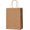Brown Medium, variant on 100 Pcs Paper Gift Bags 8x4.5x10.8 Inch Red Kraft Bag with Handles Bulk for Birthday Wedding Party Favor Bags, Paper Shopping Bags