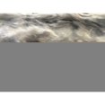 thumbnail image 2 of Plutus Brandy Gris Faux Renard Jeté, (Jeté 48W x 60L), 2 of 2