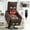 Brown, variant on Power Lift Recliner Chair for Elderly with Massage and Heat, Electric Lift Recliner Single Sofa with USB Charge Port and Side Pockets for Living Room, Grey