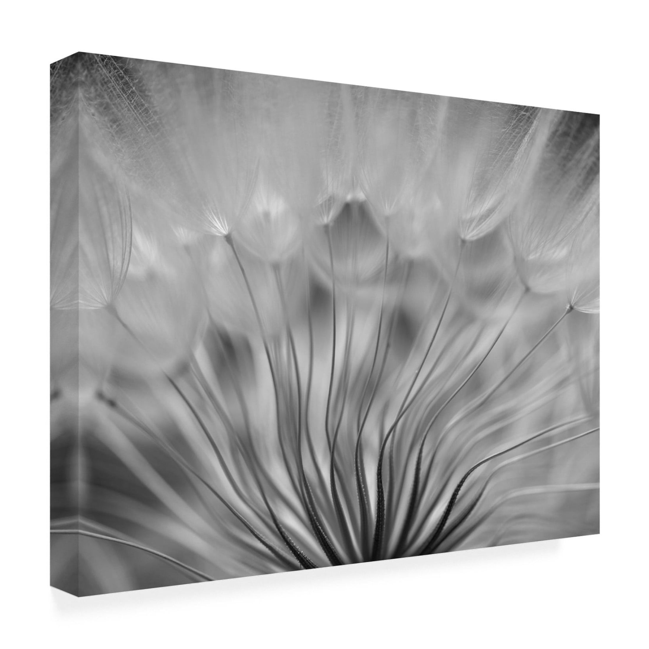 Canvas Wall Art - Keren Or 'Dream' Wall Art for Living Room, Bedroom, or Office Décor by Trademark Fine Art - 24 x 18 Inches