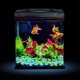 thumbnail image 2 of Billuyoard 100 Uds. Piedras pequeñas pecera piedras de guijarros brillantes maceta de flores para acuario guijarros de plástico artificiales decoración del acuario, 2 of 6