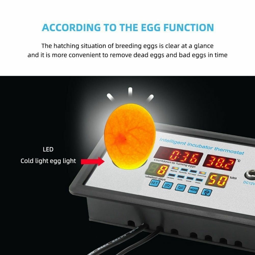 High Performance Temperature And Humidity Control 12V Incubator Thermostat For Chicken Duck Goose Eggs Zfx W9002
