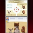 thumbnail image 3 of DS Game Nintendogs: Chihuahua & Friends NDS Game Cartridge Only,US Version, 3 of 7