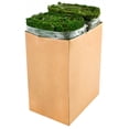 thumbnail image 1 of SuperMoss (22432 InstantGreen Moss Mat, Fresh Green, 1.5ft x 48ft, 1 of 4