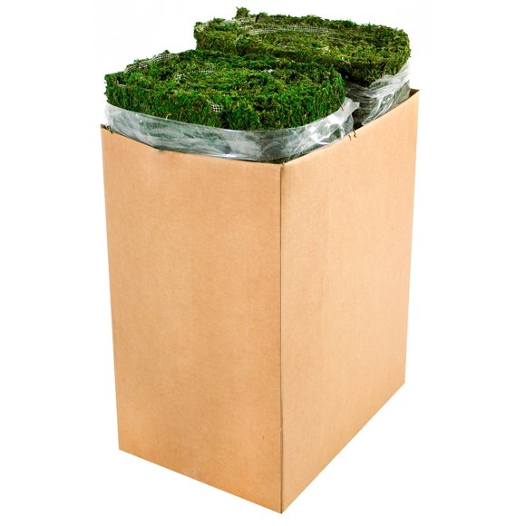 SuperMoss (22432 InstantGreen Moss Mat, Fresh Green, 1.5ft x 48ft