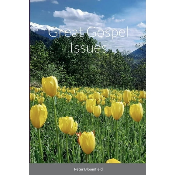Great Gospel Issues, (Paperback)