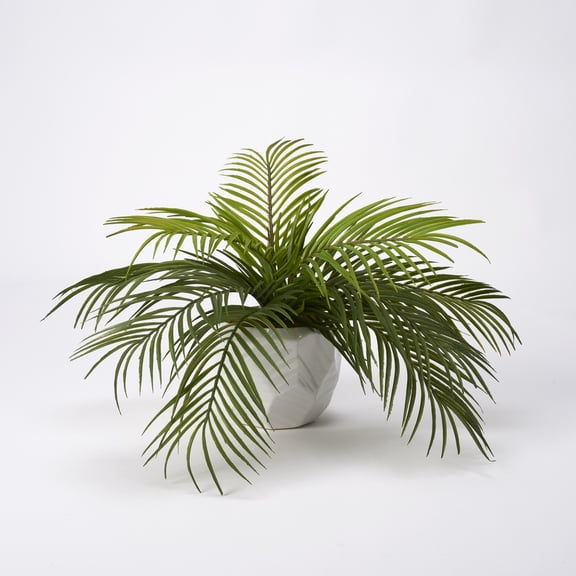 D&W Silks Hawaiian Palm in White Ceramic Planter