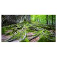 thumbnail image 2 of Forêt de Mousse Profonde en Ukraine - Impression sur Toile Paysage, 2 of 3