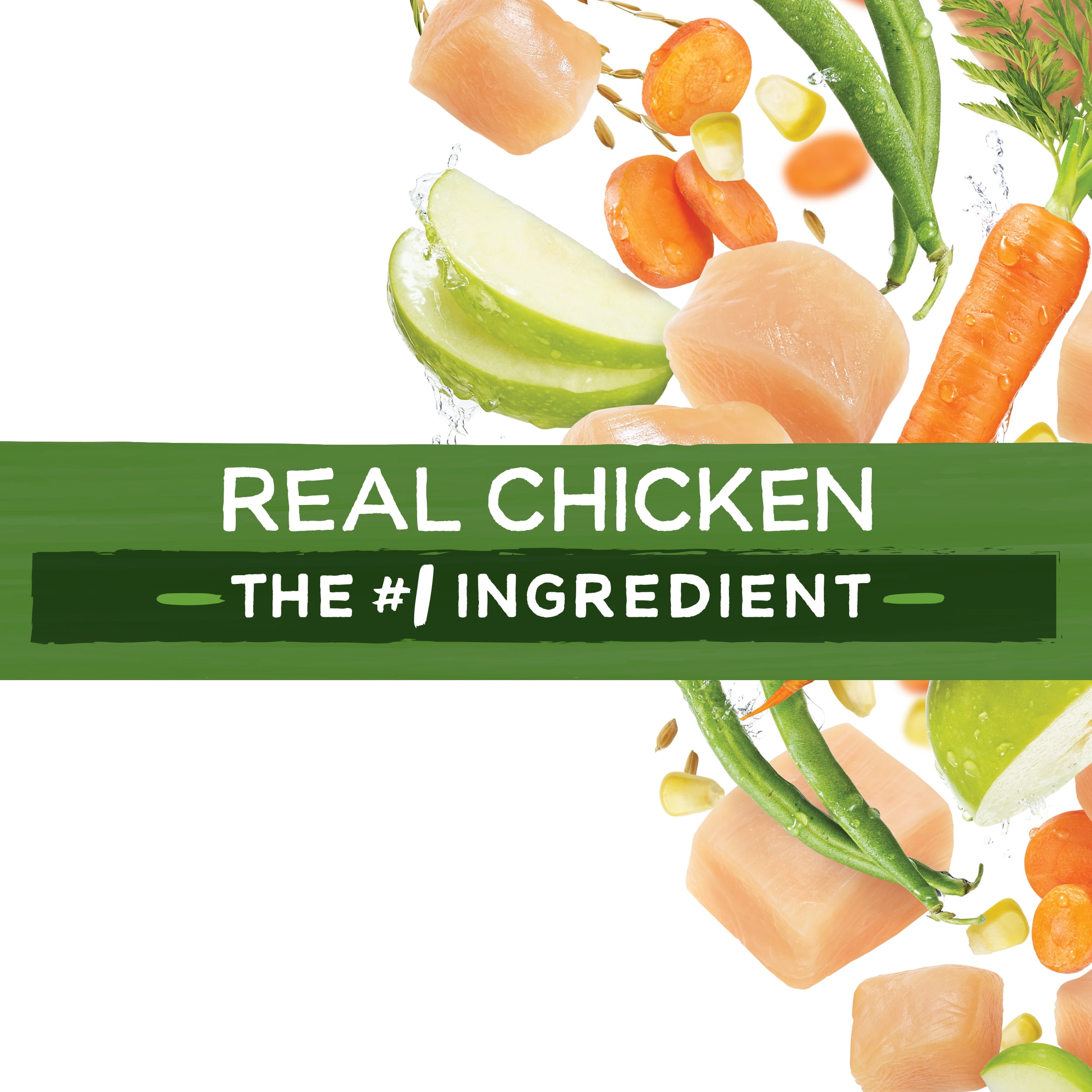 beneful healthy weight dog food