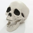 thumbnail image 4 of Halloween Skeleton Head Lifelike Human Head Model Party Prop with Skeleton Hands, 4 of 8