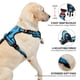 thumbnail image 4 of Arnés para perros NESTROAD, ajustable, Oxford, sin tirones, con correa, azul, 4 of 8